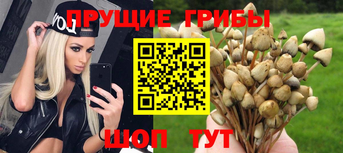 Псилоцибиновые грибы Cubensis  купить наркоту  Ухта  Вход с VPN 